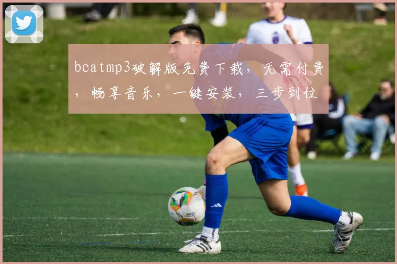 beatmp3破解版免费下载，无需付费，畅享音乐，一键安装，三步到位